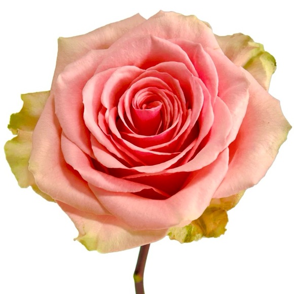 💚💙❤️💛🧡💚💙❤️💛🧡💚💙❤️💛🧡 - Picture 2 of 14